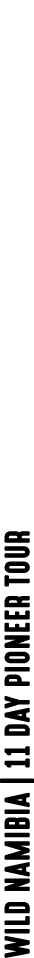 Wild namibia | 11 DAY PIONEER TOUR
