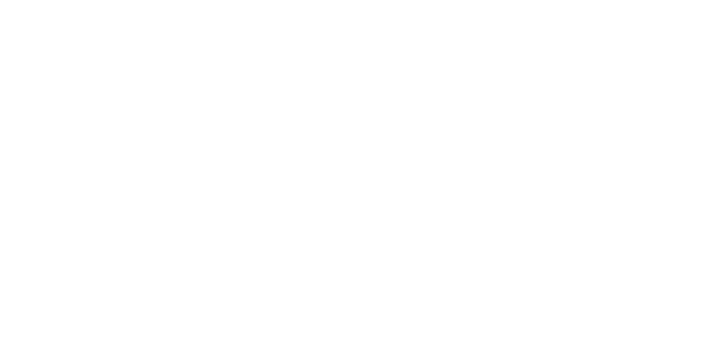 Included: Accommodation: Lodges, tented camps and hotels Meals: 16 breakfasts, 12 lunches and 13 dinners Local flight...