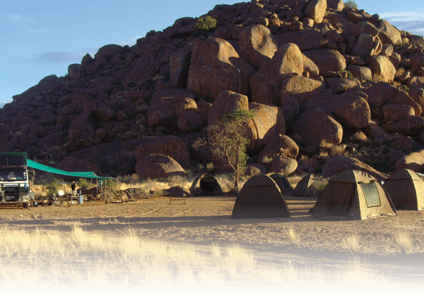 My beautiful picture