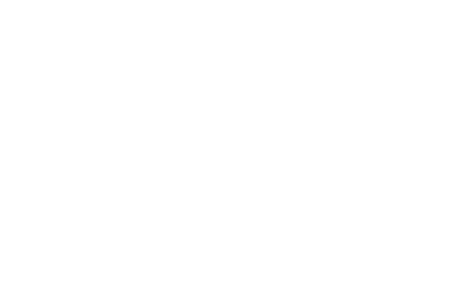 Included: Accommodation: 3 and 4 star hotels; 5 star private game lodge Meals: 12 breakfasts and 4 dinners Airport Tr...