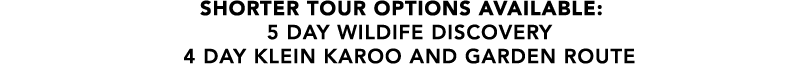 SHORTER TOUR OPTIONS AVAILABLE: 5 DAY WILDIFE DISCOVERY 4 DAY KLEIN KAROO AND GARDEN ROUTE