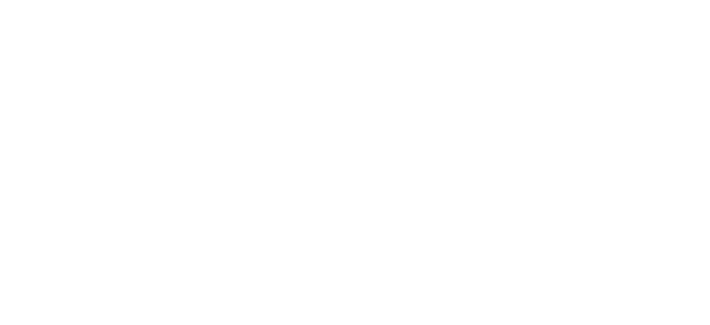 Included: Accommodation: 4 star hotels and private game lodge Meals: 5 breakfasts and 5 dinners Entrance Fees: Garden...