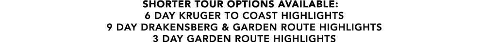 SHORTER TOUR OPTIONS AVAILABLE: 6 day kruger to coast highlights 9 day drakensberg & Garden route highlights 3 day ga...