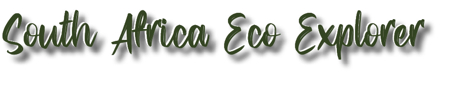 South Africa Eco Explorer,South Africa Eco Explore