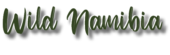 Wild Namibia ,Wild Namibi