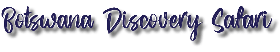 Botswana Discovery Safari,Botswana Discovery Safar