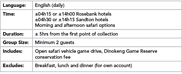 Language:,English (daily) ,Time:,±04h15 or ±14h00 Rosebank hotels ±04h30 or ±14h15 Sandton hotels Morning and afterno...