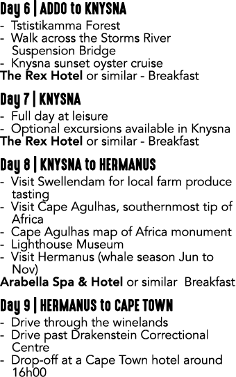 Day 6 | ADDO to KNYSNA Tstistikamma Forest Walk across the Storms River Suspension Bridge Knysna sunset oyster cruise...