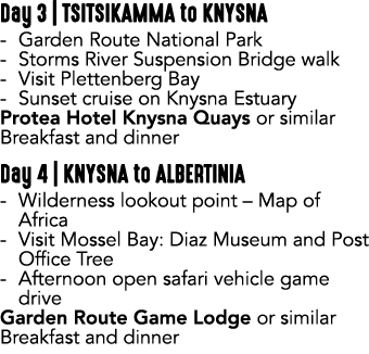 Day 3 | TSITSIKAMMA to KNYSNA Garden Route National Park Storms River Suspension Bridge walk Visit Plettenberg Bay Su...