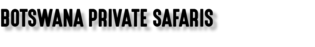 BOTSWANA PRIVATE SAFARIS