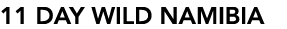 11 DAY WILD NAMIBIA