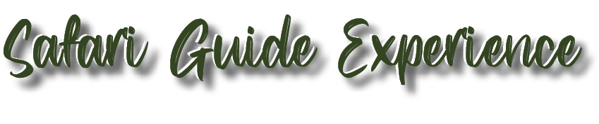 Safari Guide Experience,Safari Guide Experienc