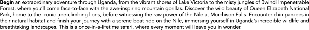 Begin an extraordinary adventure through Uganda, from the vibrant shores of Lake Victoria to the misty jungles of Bwi...