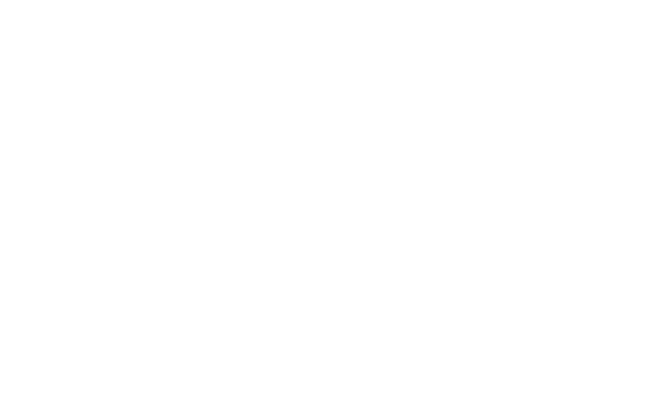 Included: Accommodation: 3 to 4 star lodges/tented lodges Meals: 9 breakfasts, 6 lunches and 9 dinners Airport Transf...