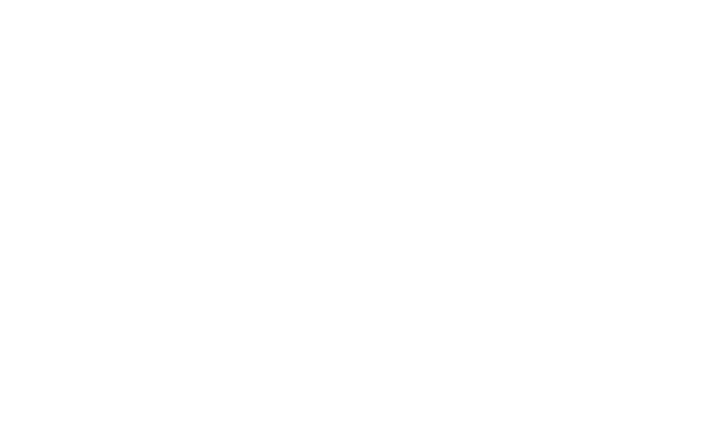 Included: Accommodation: 4 and 5 star hotels Meals: 8 breakfasts, 1 lunch and 3 dinners Entrance Fees: Camdeboo Natio...