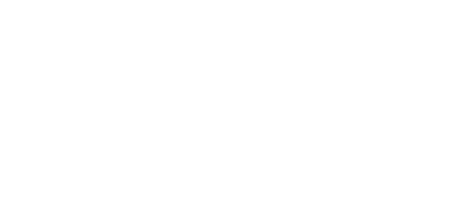 Included: Accommodation: 4 star hotels and private game lodge Meals: 5 breakfasts and 5 dinners Entrance Fees: Garden...