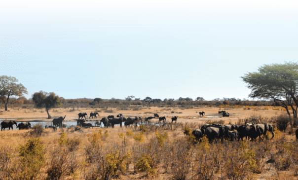 A group of people are standing on a hill, with a truck and a jeep nearby. AI generated content