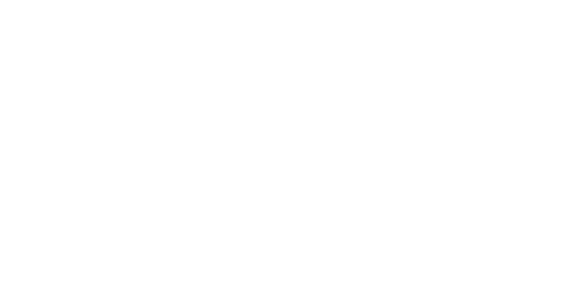 Included: Accommodation: Lodges, tented camps and hotels Meals: 14 breakfasts, 10 lunches and 12 dinners Local flight...
