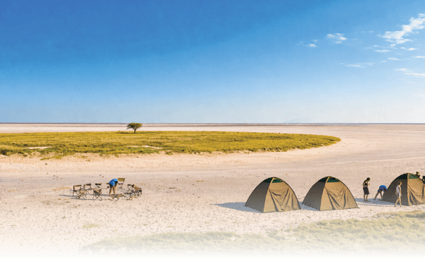 A group of people are gathered in a desert area, standing around tents. There are a total of 14 people in the scene, some of them closer to the tents while others are spread out across the desert. The tents are scattered throughout the area, with some closer to the people and others further away. The overall atmosphere of the scene is one of camaraderie and shared adventure. AI generated content