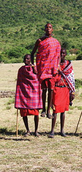 Two cheetahs are standing in a grassy field. AI generated content