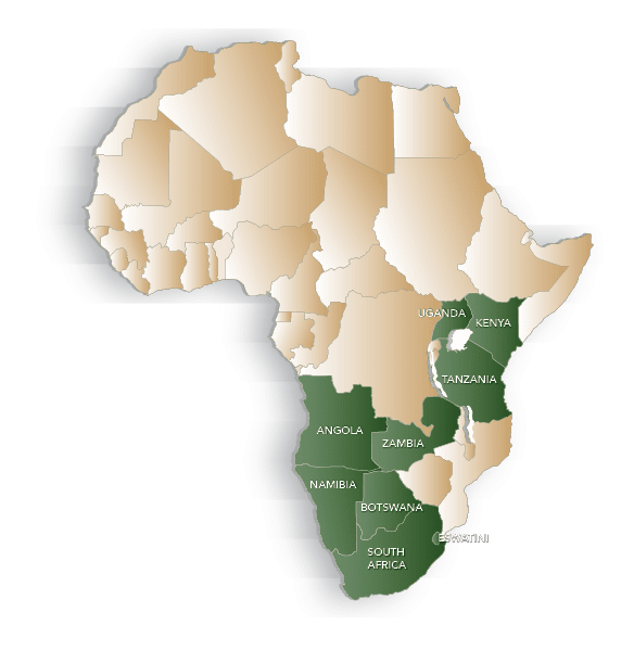A map of Africa with green and white labels showing countries and their names. AI generated content