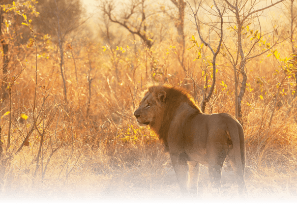 A herd of elephants, including both adults and babies, are walking across a grassy field. AI generated content