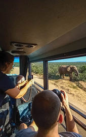 Two hippos, one adult and one baby, are walking together in a field. AI generated content