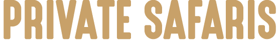 PRIVATE SAFARIS