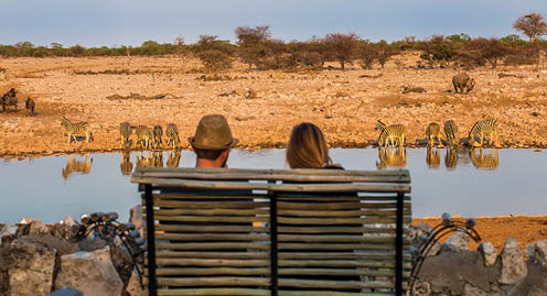 Rear view of young couple observing animals in african savanna, Etosha National Park, Namibia
