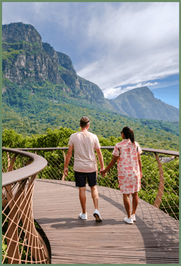 couple of men and women walking at the boomslang walkway in the Kirstenbosch botanical garden in Cape Town, Canopy bridge at Kirstenbosch Gardens in Cape Town, built above lush foliage South Africa