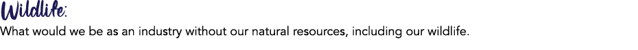 Wildlife: What would we be as an industry without our natural resources, including our wildlife. 