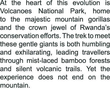 At the heart of this evolution is Volcanoes National Park, home to the majestic mountain gorillas and the crown jewel...