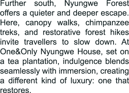 Further south, Nyungwe Forest offers a quieter and deeper escape. Here, canopy walks, chimpanzee treks, and restorati...