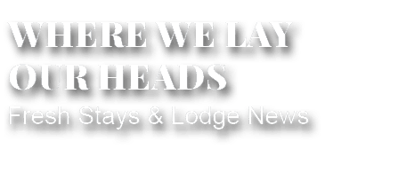 Fresh Stays & Lodge News,WHERE WE LAY OUR HEAD