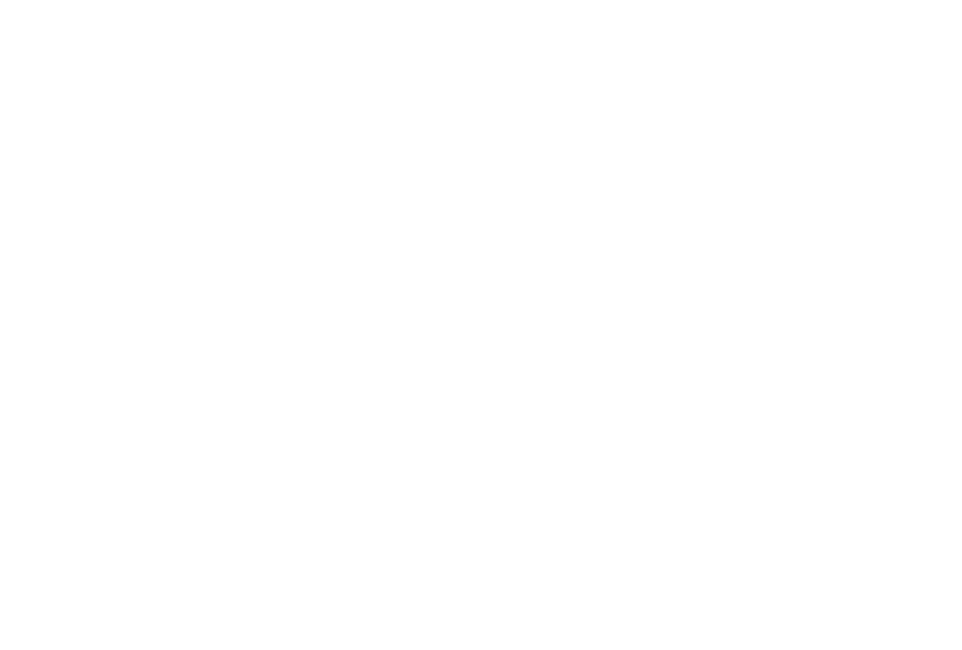 Accommodation: As per itinerary Meals: All meals and local brand drinks as per the itinerary Meet and greet: Maun Int...