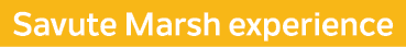 Savute Marsh experience