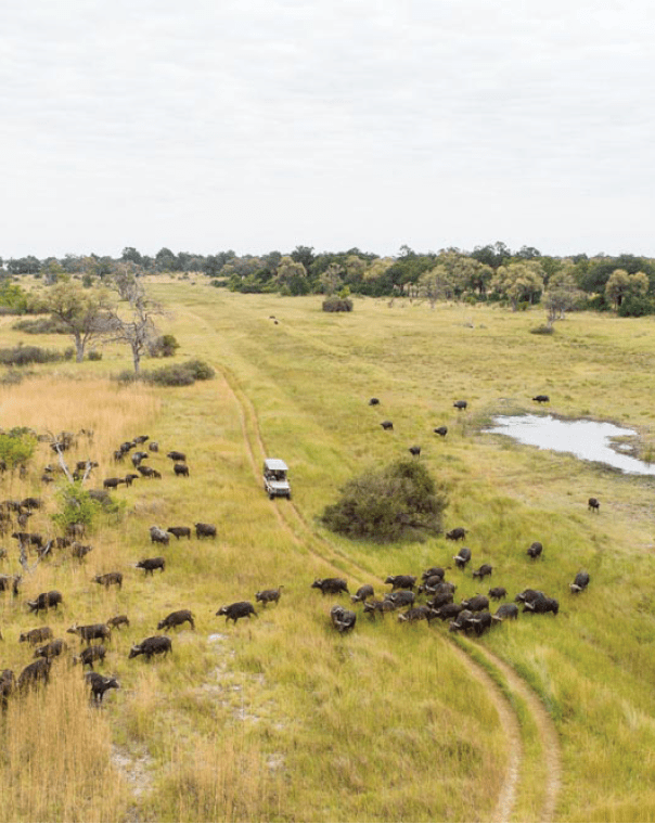 Rectangle
