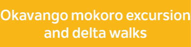 Okavango mokoro excursion and delta walks