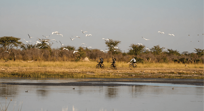 A group of birds flying over a body of water. Description generated by AI