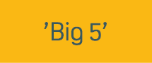 ’Big 5’