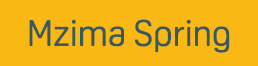 Mzima Spring