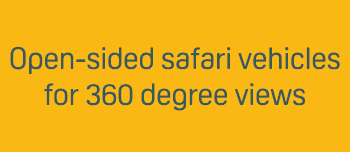 Open sided safari vehicles for 360 degree views 