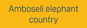 Amboseli elephant country