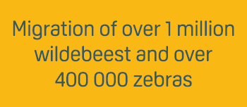 Migration of over 1 million wildebeest and over 400 000 zebras