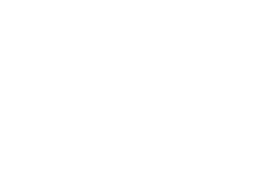 All international / domestic flights and taxes Visas Travel and personal accident insurance Personal expenses Excursi...