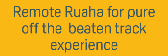 Remote Ruaha for pure off the beaten track experience