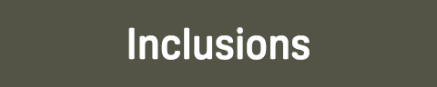Inclusions