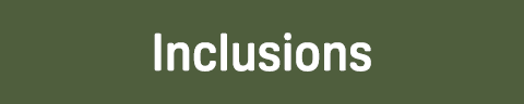 Inclusions
