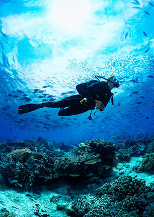 A person is diving in the ocean with a blue and black wetsuit on. Description generated by AI