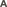 EPSText